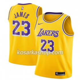 Dres Los Angeles Lakers Lebron James 23 Nike 2018-19 Siva Swingman